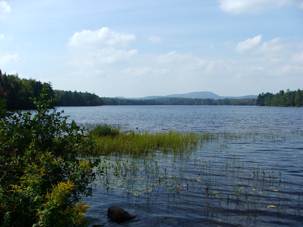 Horseshoe Lake Here's a small section of the lake (located… Flickr
