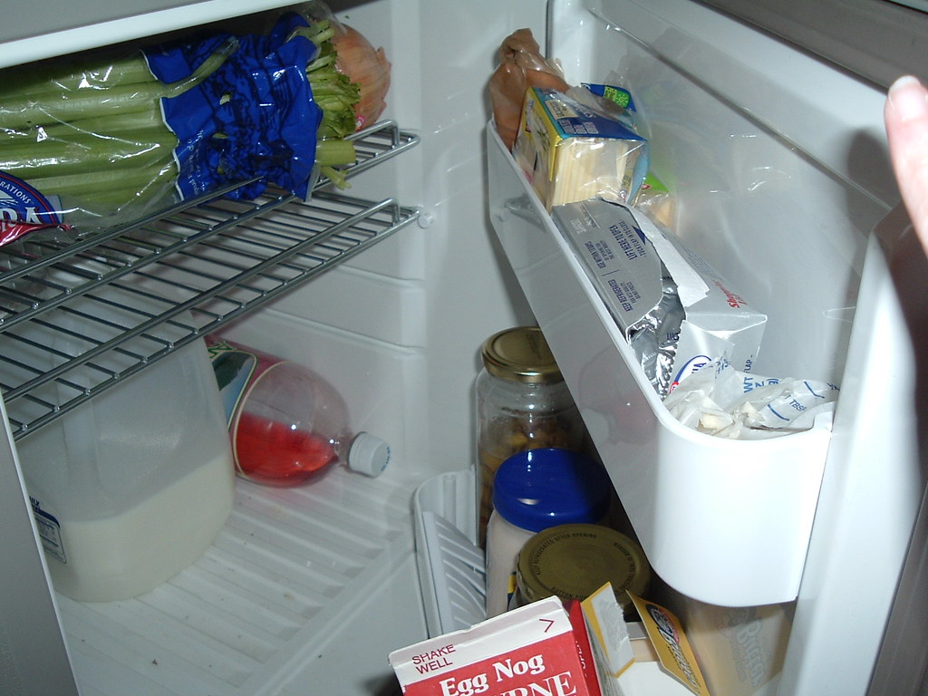 DSCF0312.JPG Inside the little fridge ebedgert Flickr