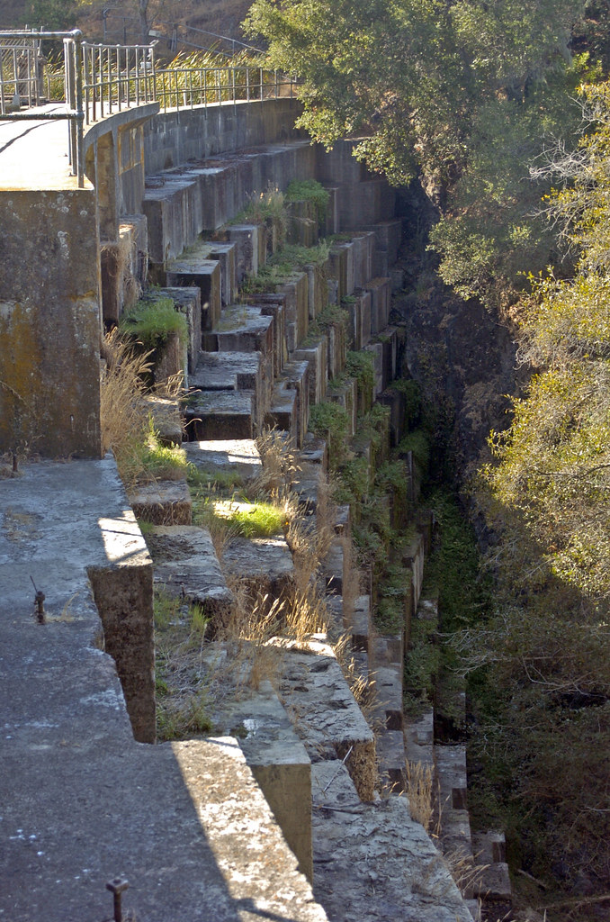 searsville dam shugyou Flickr