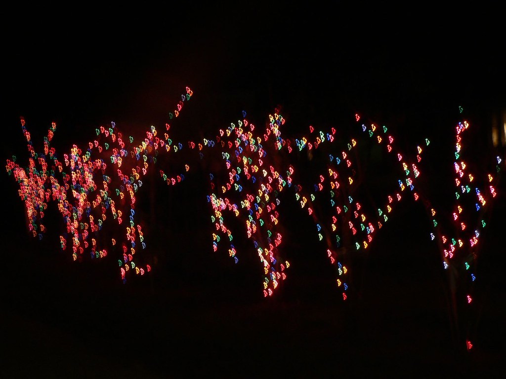 The christmas lights on the little crepe myrtles Neil Smith Flickr
