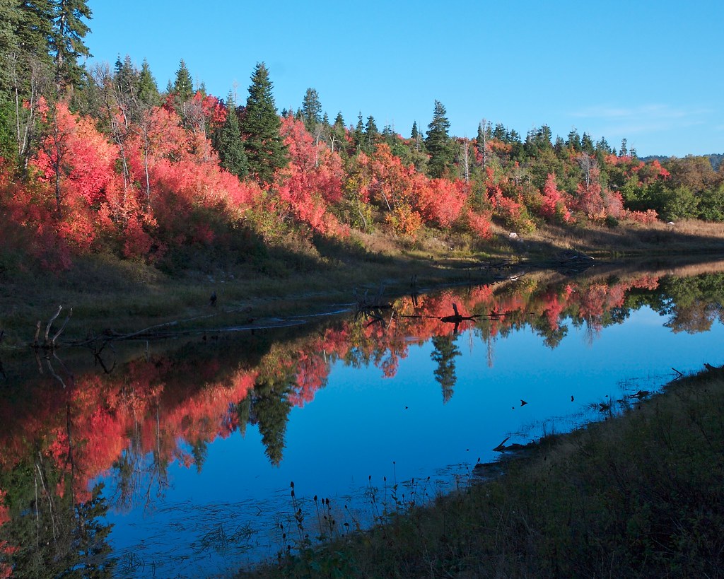 Green Pond, Snowbasin Reflection DennyMont Flickr
