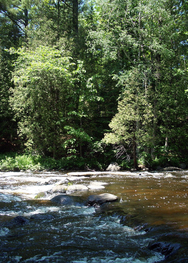 Bagley Rapids5 Oconto River at the Bagley Rapids campgrou… Flickr