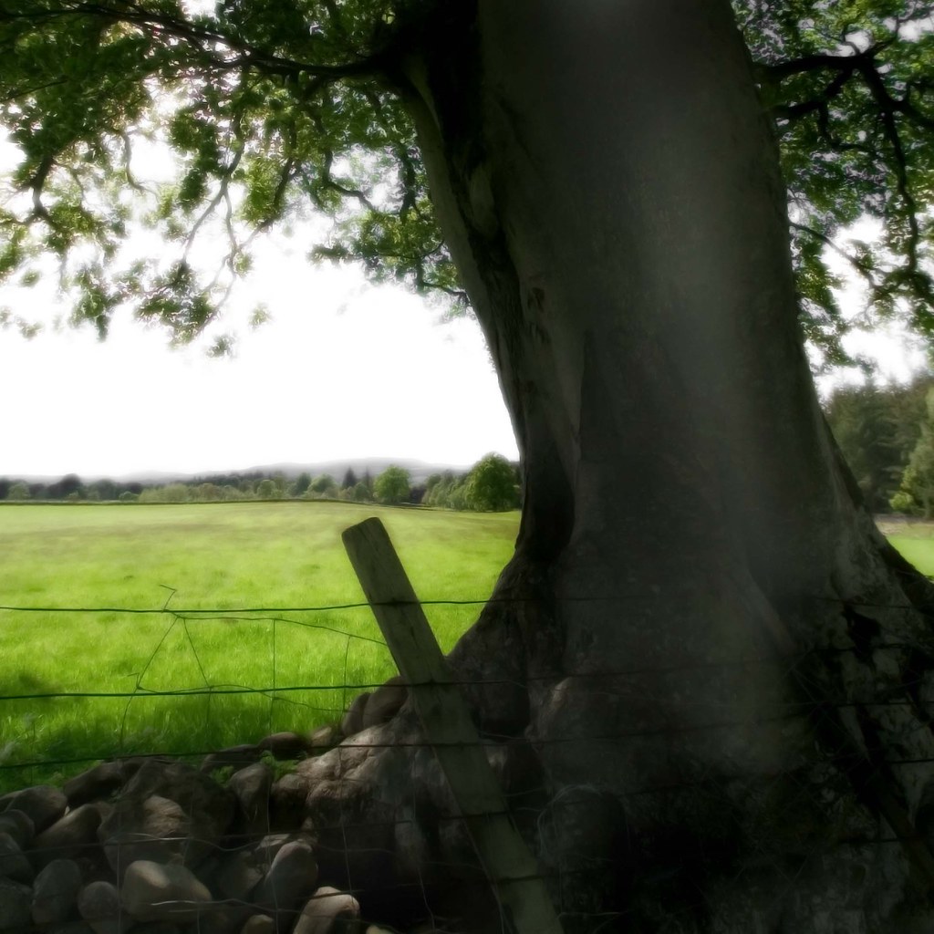 Postcards reminds me of the Annie Proulx novel "postcards"… Flickr