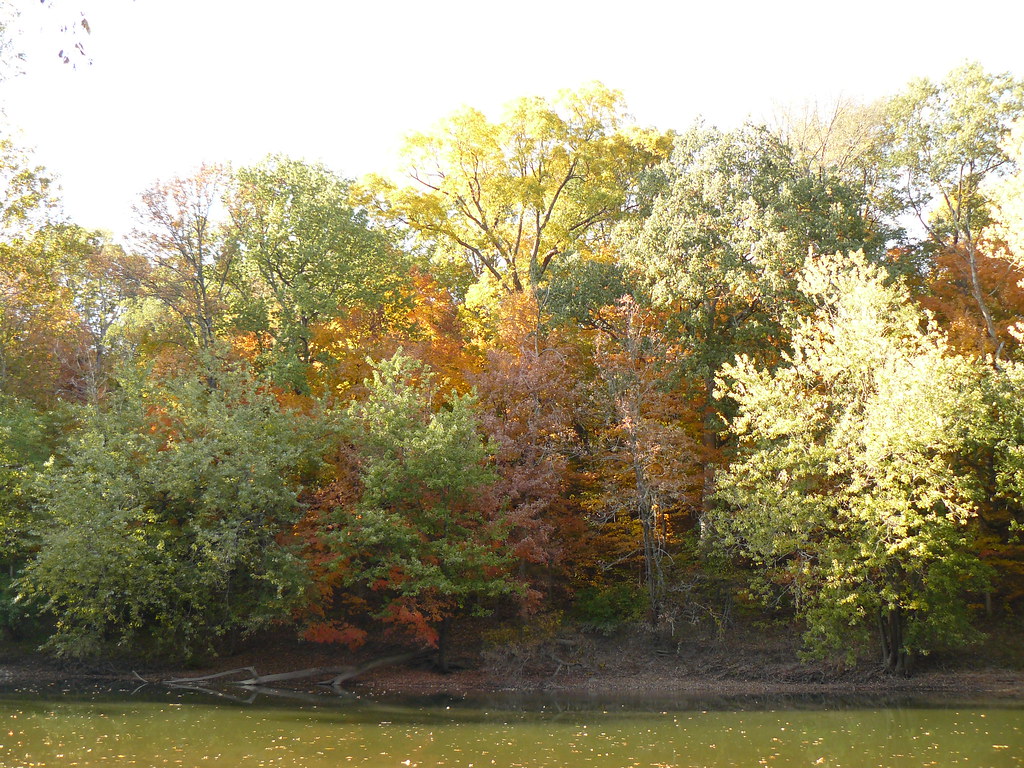 potter's bridge park Oct 10 2010 Russell Pegg Flickr