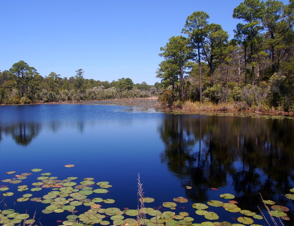 Freshwater Ponds at Grayton Beach, Florida JR P Flickr