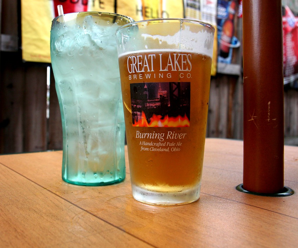 In the "Beer Garden" Fitz's Pub, Addison Street, Elmhurst,… Flickr