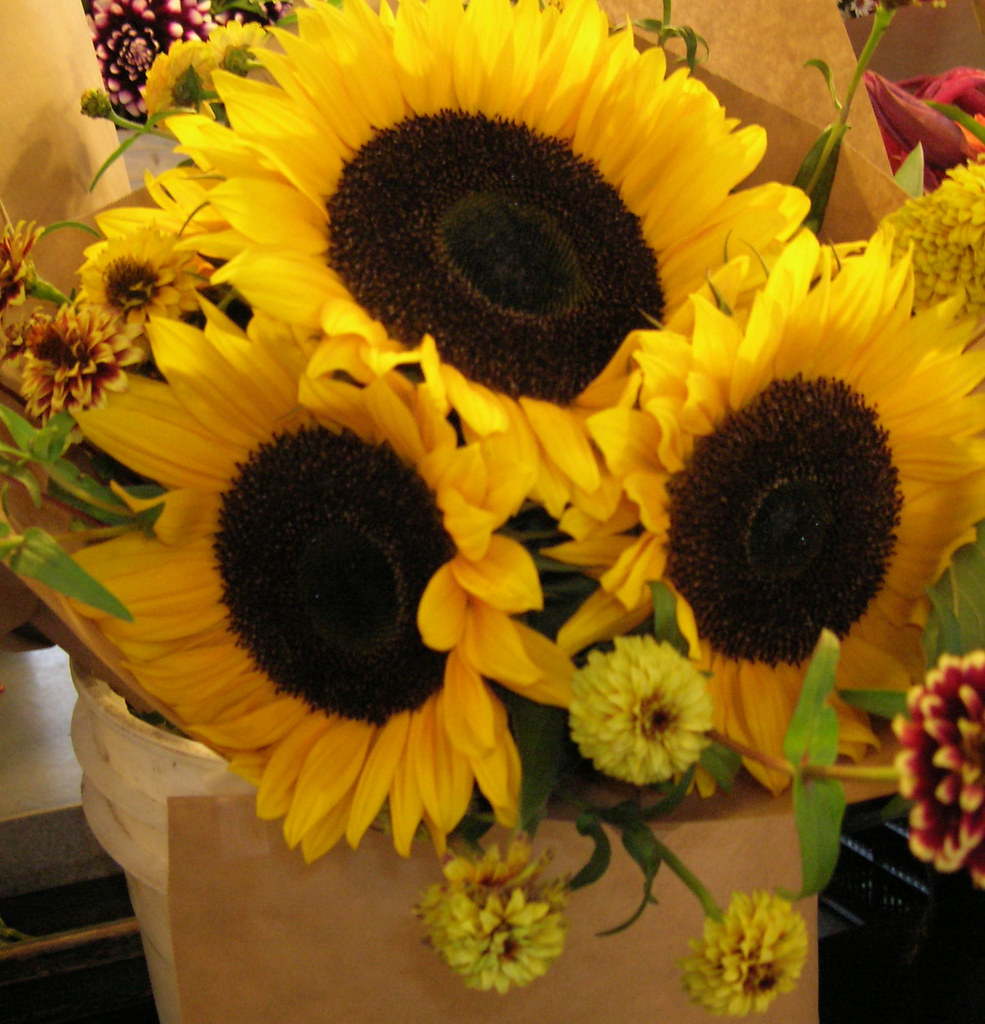 Sunflower Bouquet Sunflower Bouquet Maureen Reilly Flickr
