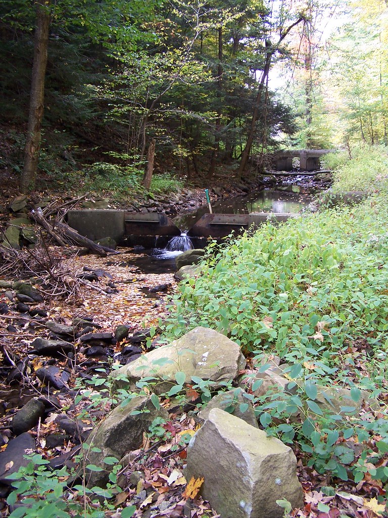 Stream Near Prince Gallitzin Spring Blair County, Pennsylv… Flickr