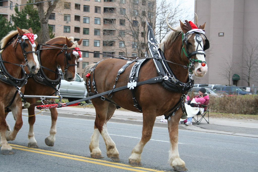 Santa Claus Parade 2006 Santa Claus parade 2006 Newmarket … Flickr