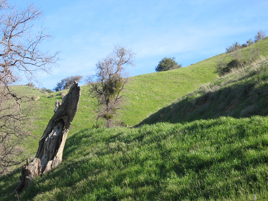 Lebec Ca Schools at Tidwell blog