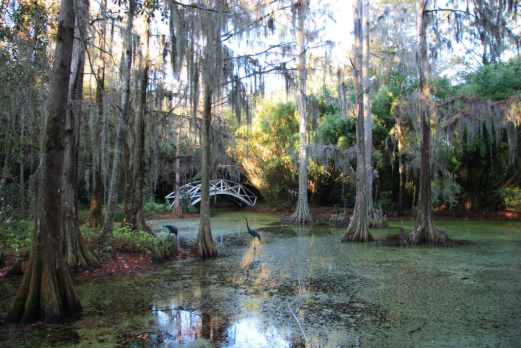 Bridge at Magnolia Plantation Bridge in garden of Magnolia… Flickr