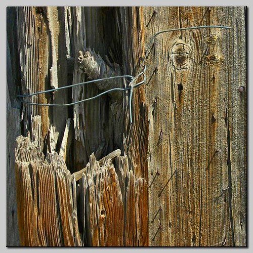 Wire N Wood Old fence by deserted cow barn in Calhan, CO Michael