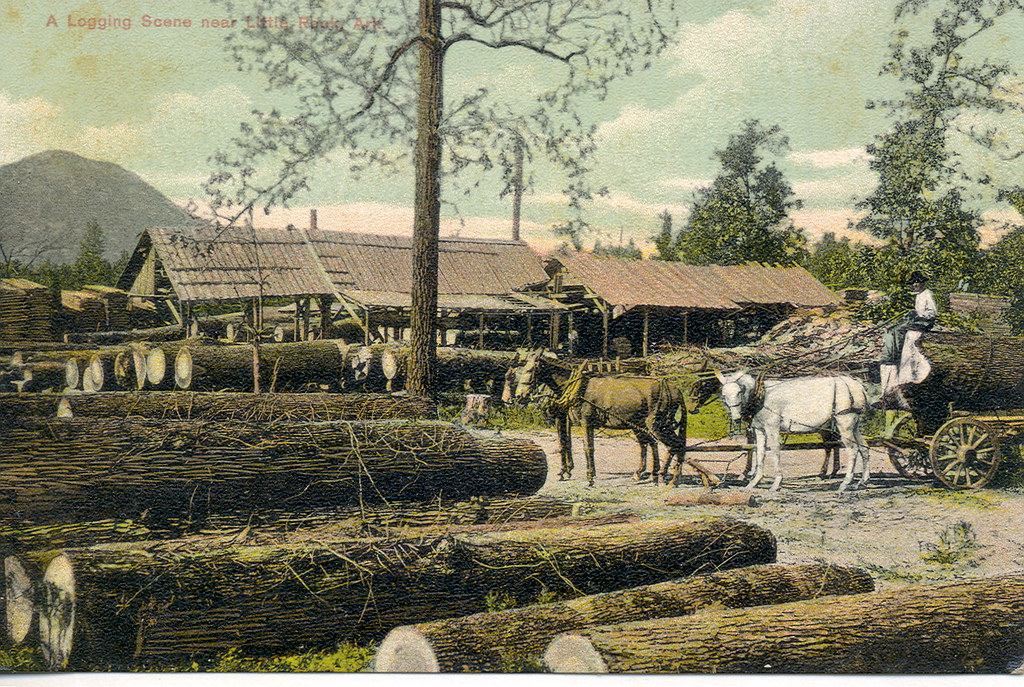 Logging and Sawmill in Little Rock AK with Donkey Draft Te… Flickr