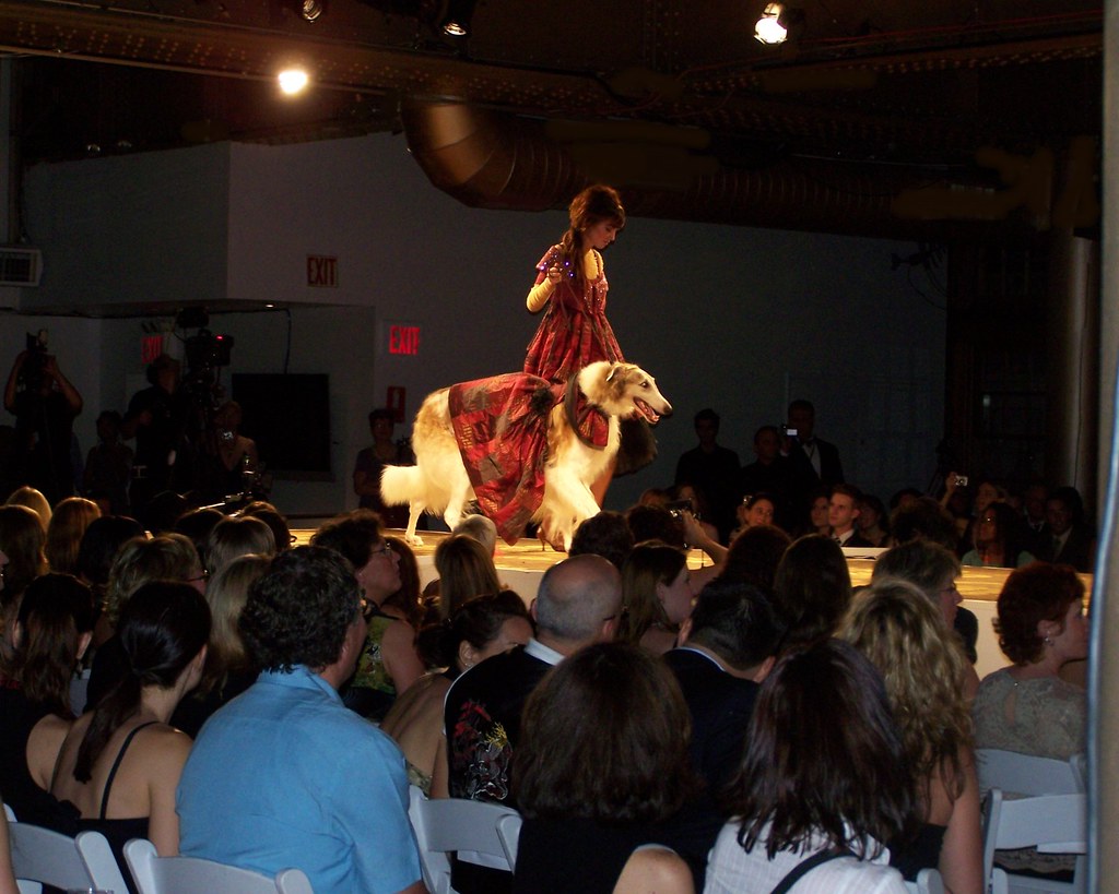 Pet Fashion Week 2006 Tahnka working the catwalk! Best vie… Flickr