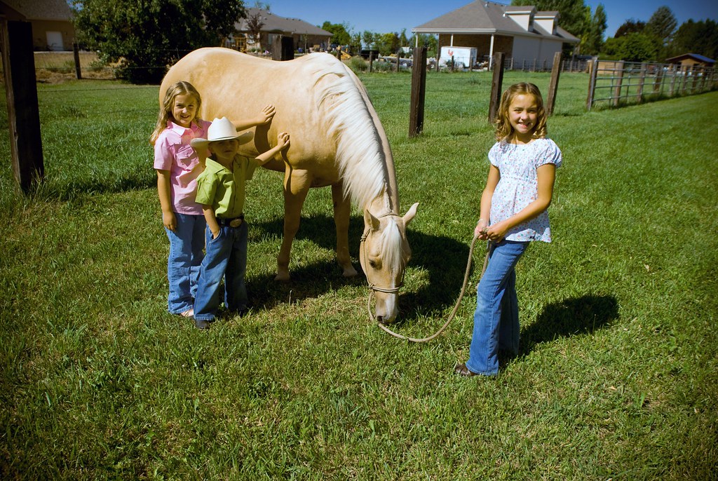 dickbonahome039.jpg Spanish Fork Parade ad for IHC Jennifer Grigg