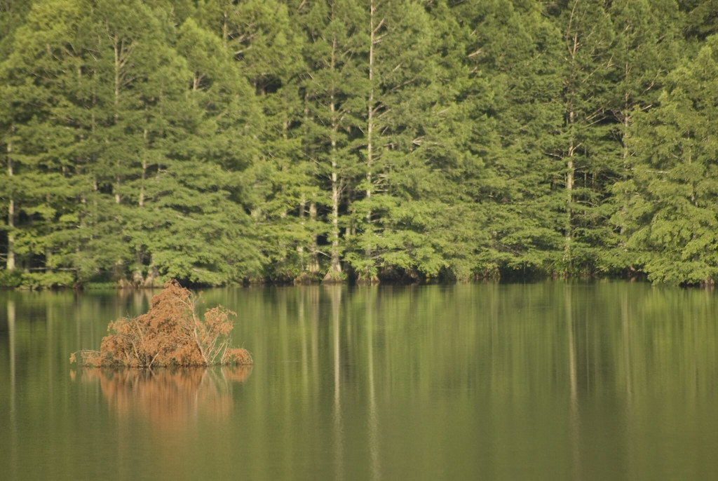 Harris Brake Lake itsnotchicken Flickr