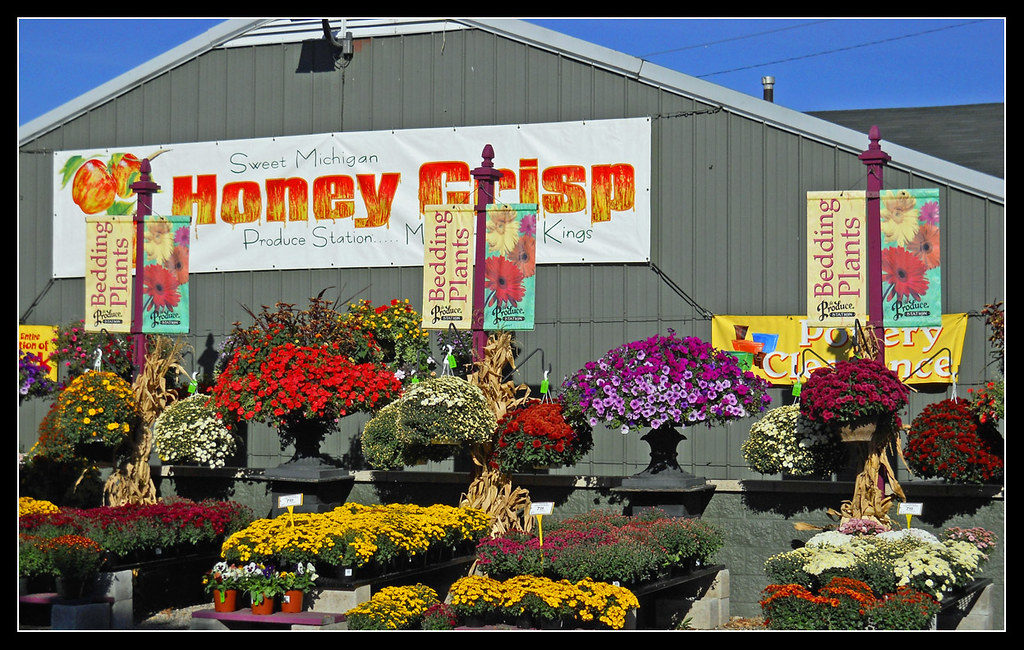Autumn at Produce Station a photo on Flickriver