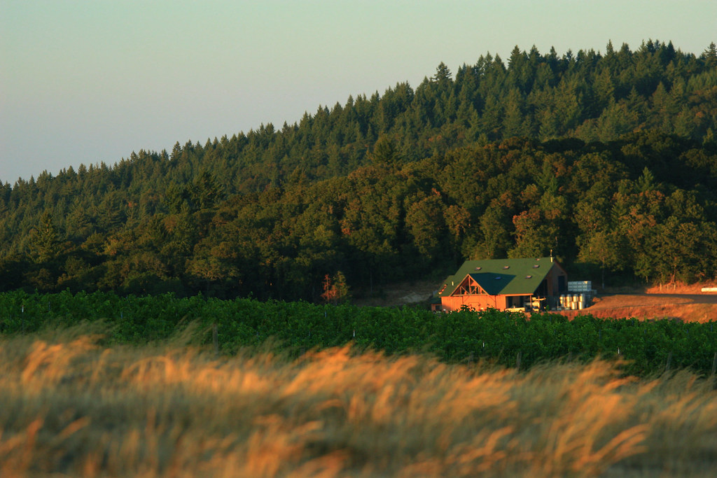 Cherry Hill Winery again Canon 30D Canon 70300mm lens. … Flickr