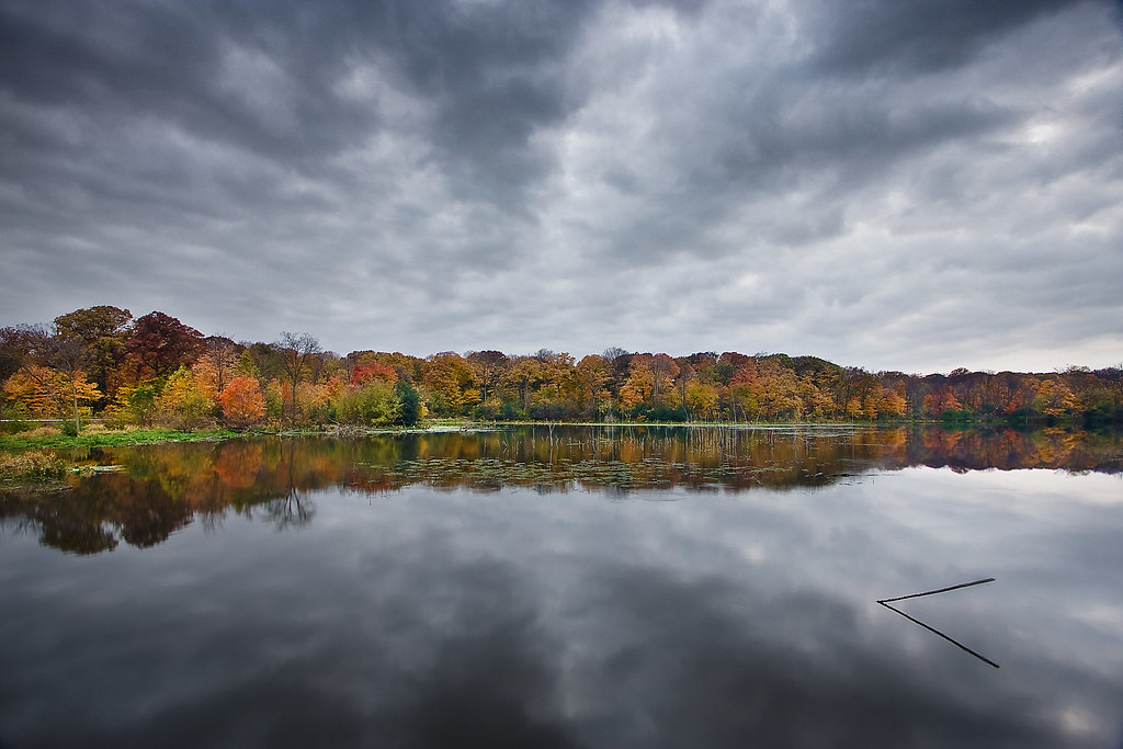 briancrissie_20101023_0059 meacham grove forest preserve w… Flickr