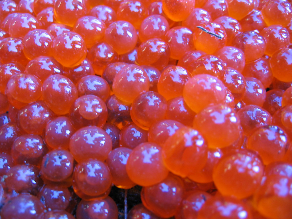 Fish eggs Julie Leung Flickr