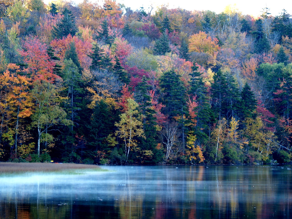 Rise Up, Russell Pond Daybreak at the pond. White Mountain… Flickr