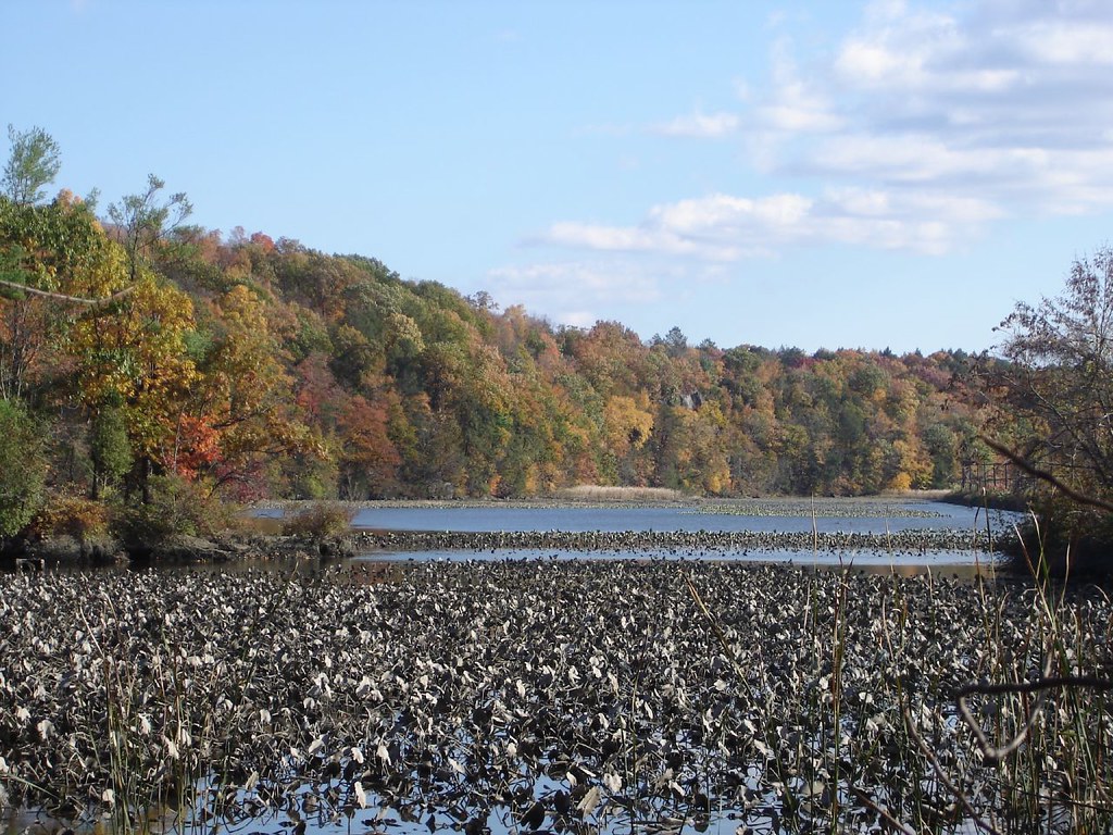 Roosevelt Cove taken from Cove Trail marlajsera Flickr