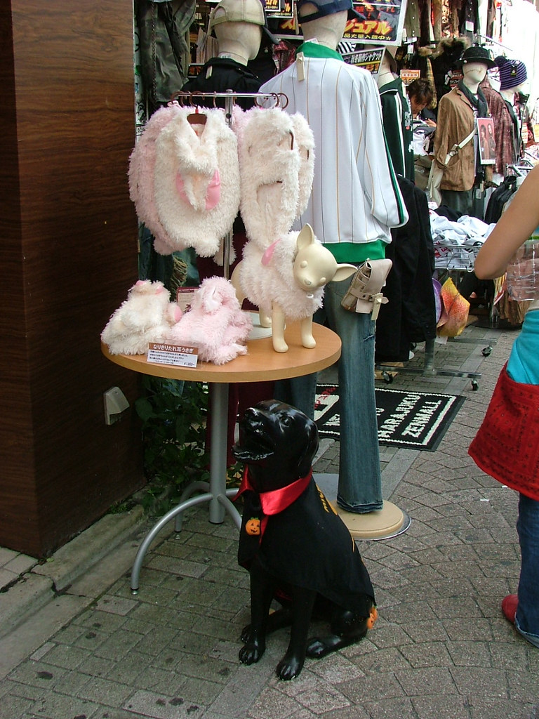 Smart Dog! Pet clothes shop in Harajuku, Japan Cyberesque Flickr