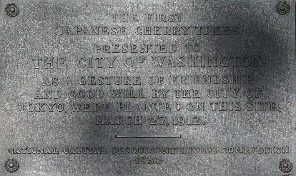 Washington's Cherry Trees History of the Cherry Trees in W… Flickr