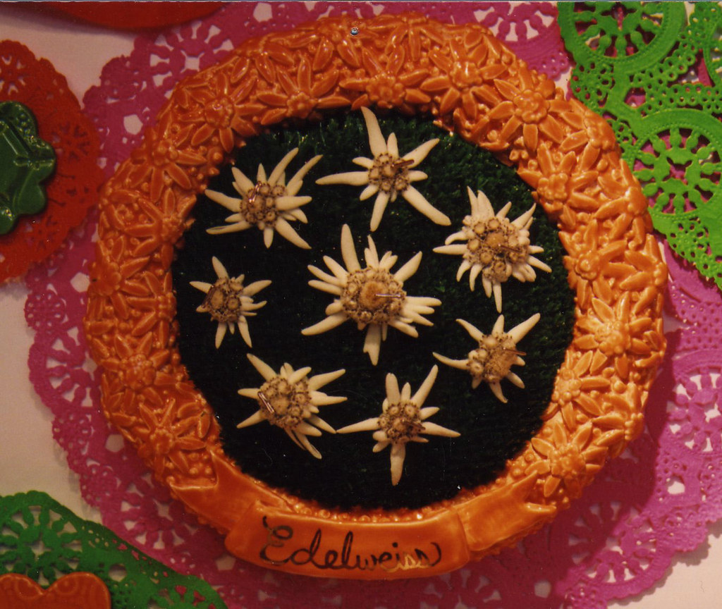 Edelwreath REAL Edelweiss from Canada, turf, ceramic, pain… Flickr