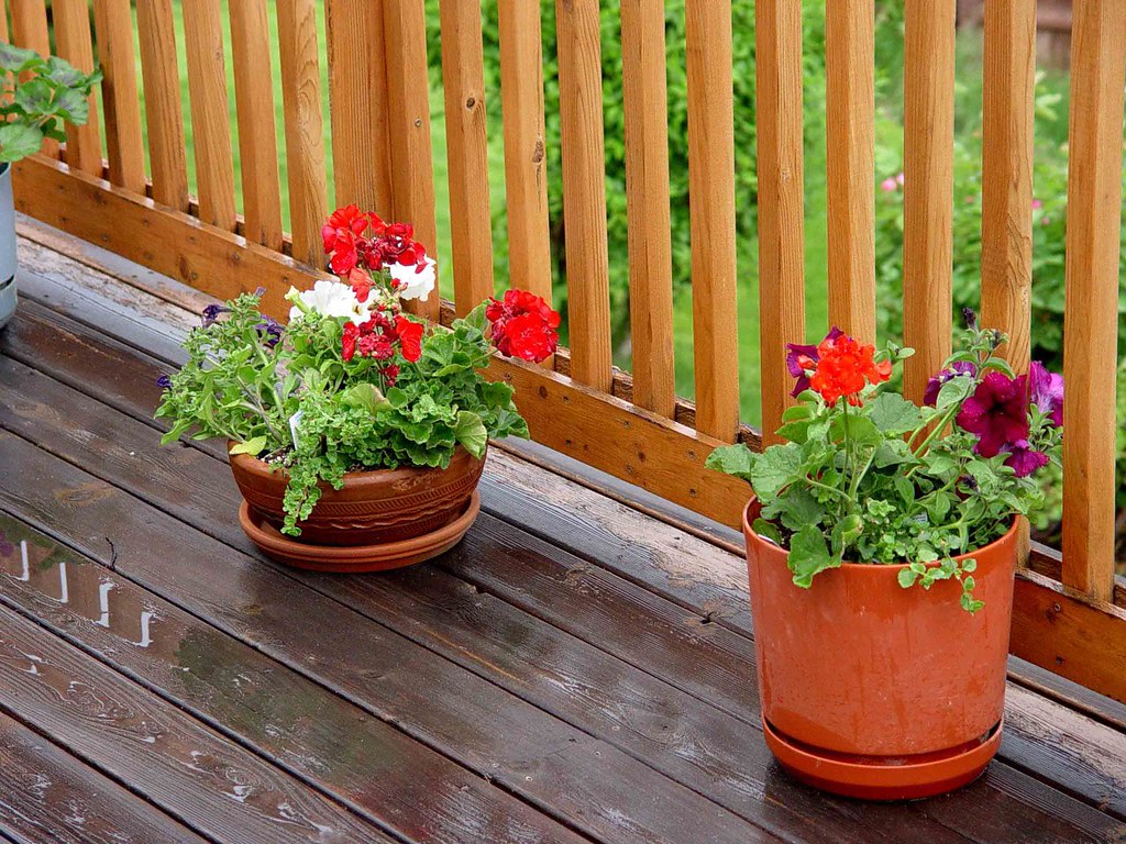 Flowers on the Deck Bill Correll Flickr