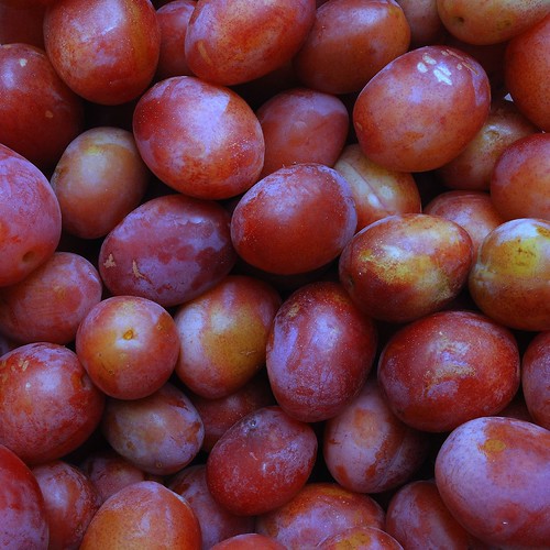 Victoria plums Andrew Flickr