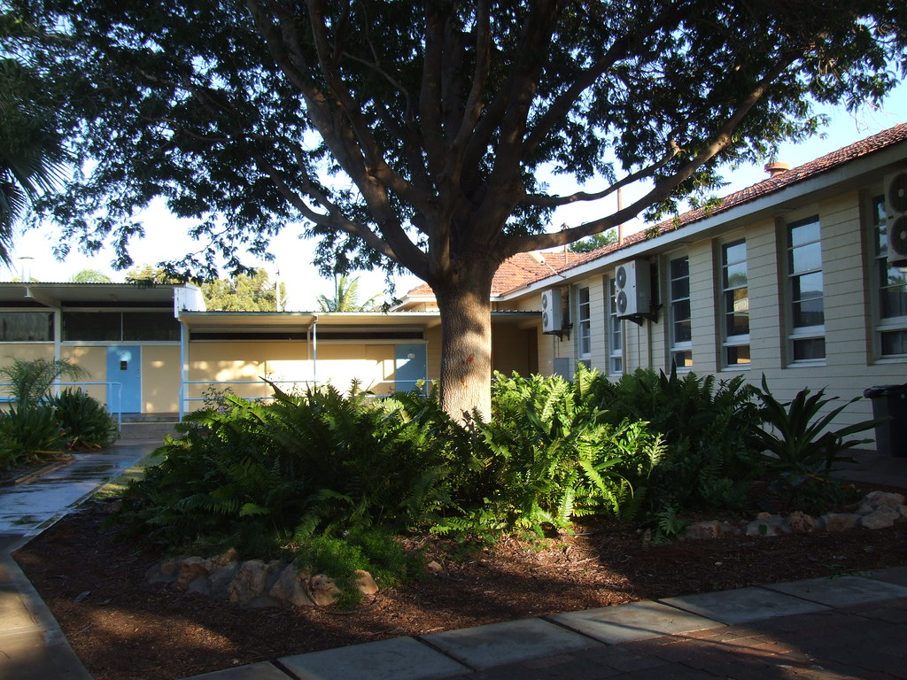 Carnarvon Senior High School. DSCF2412 Gardens at Carnarvo… Flickr