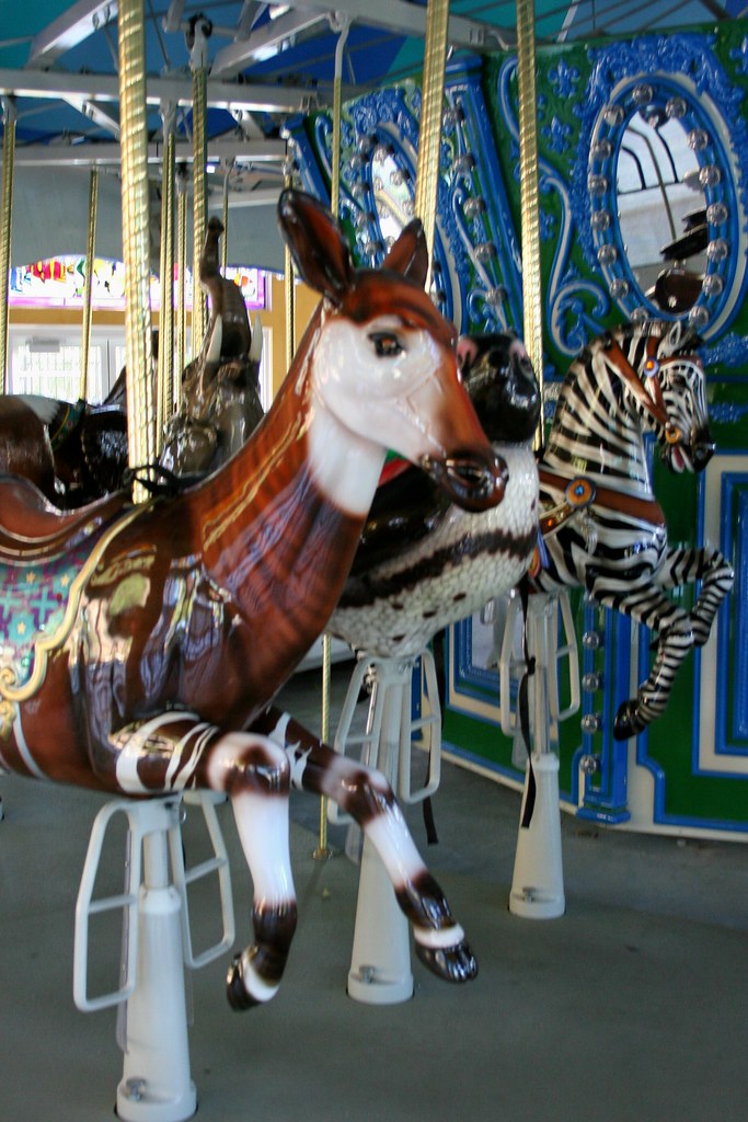 Turtle Back Zoo Carousel Okapi and Zebra The Endangered … Flickr