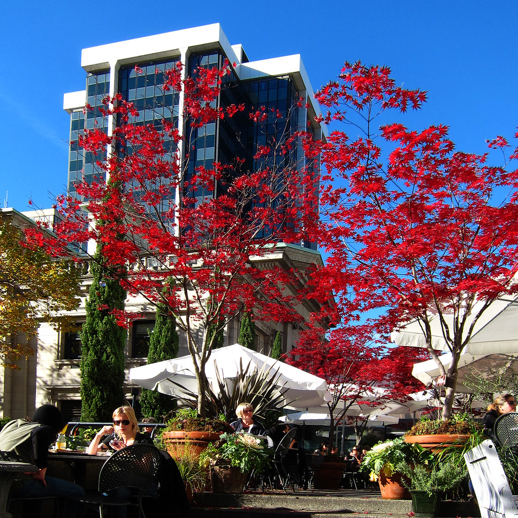Vancouver Art Gallery 2010 The restaurant at the Vancouver… Flickr