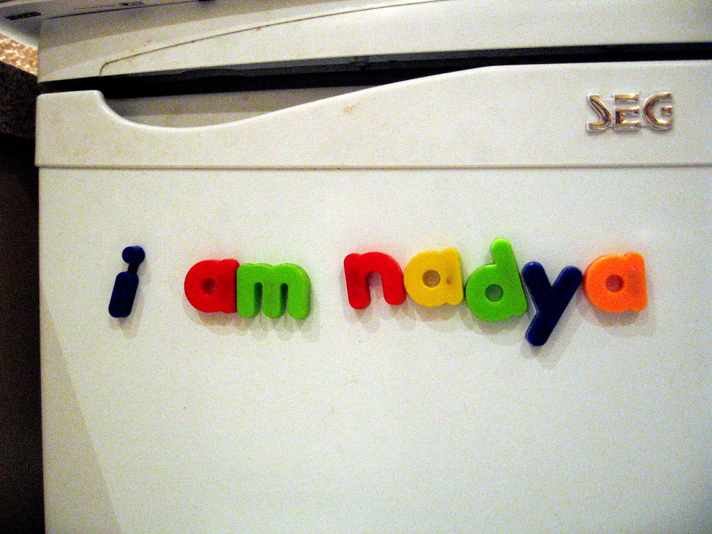 our fridge at home isn't Nadya Peek Flickr