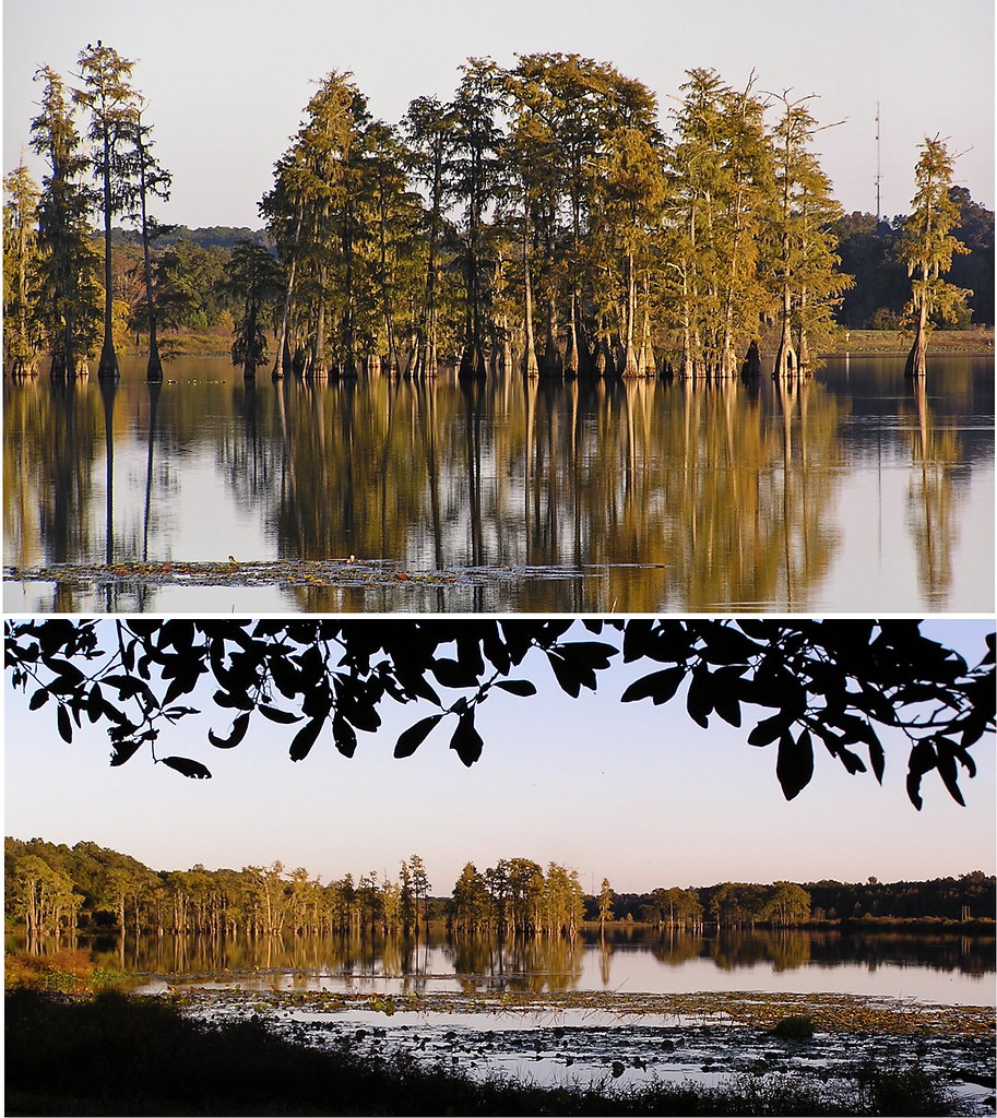 Lake Piney Z On the east edge of Tallahassee, next to Tom … Flickr