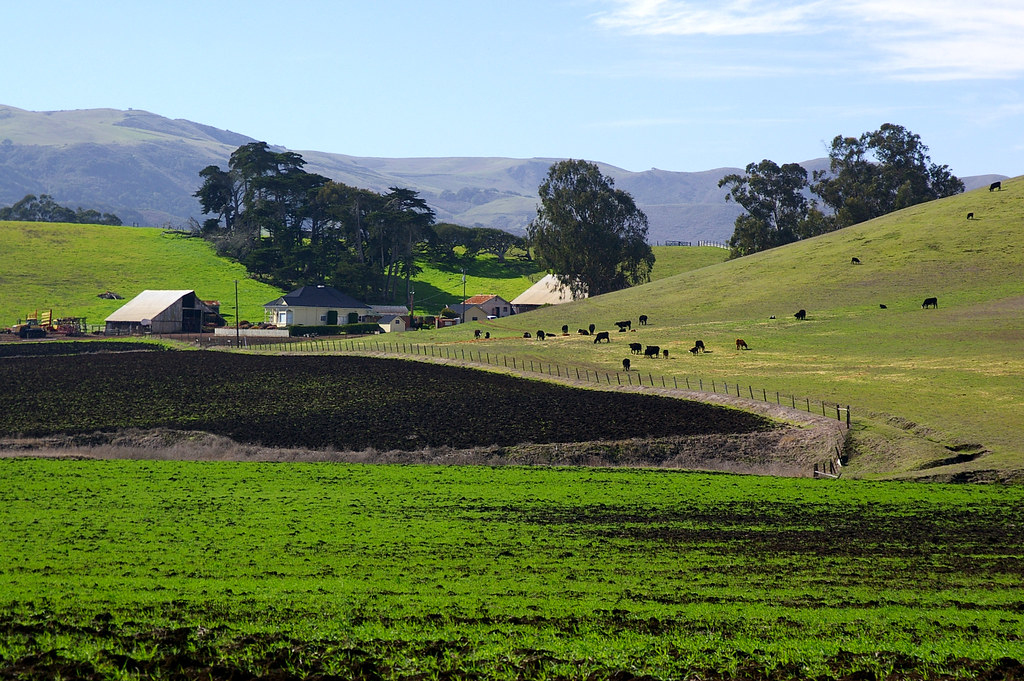 TURRI RD004 ALAN SCHMIERER Flickr