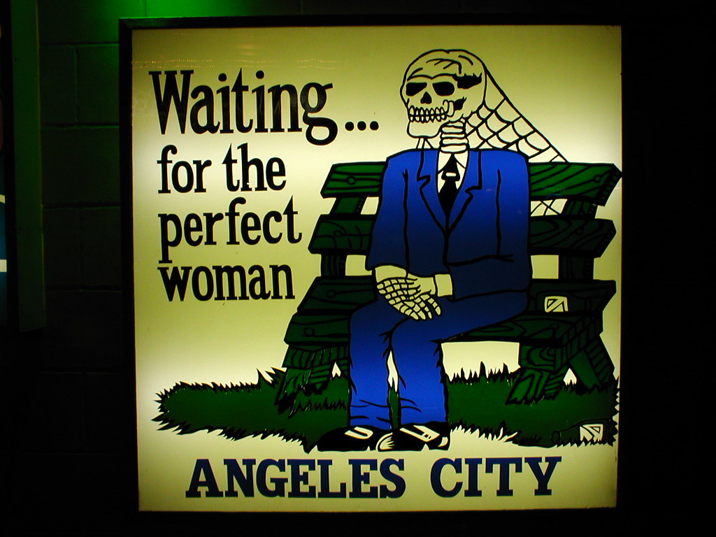 Waiting For The Perfect Woman Meme Pict