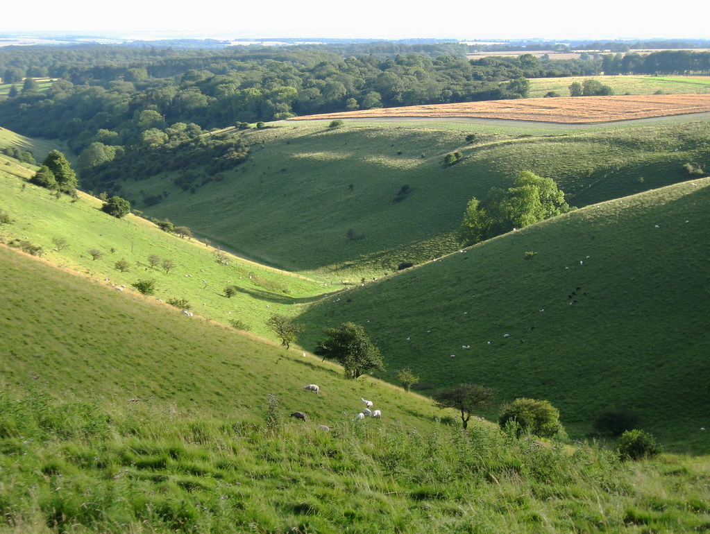 Wiltshire Landscape Nick Flickr