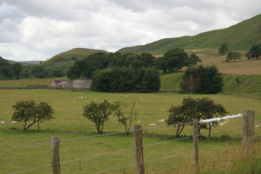 Cheviot Hills 2 afcone Flickr
