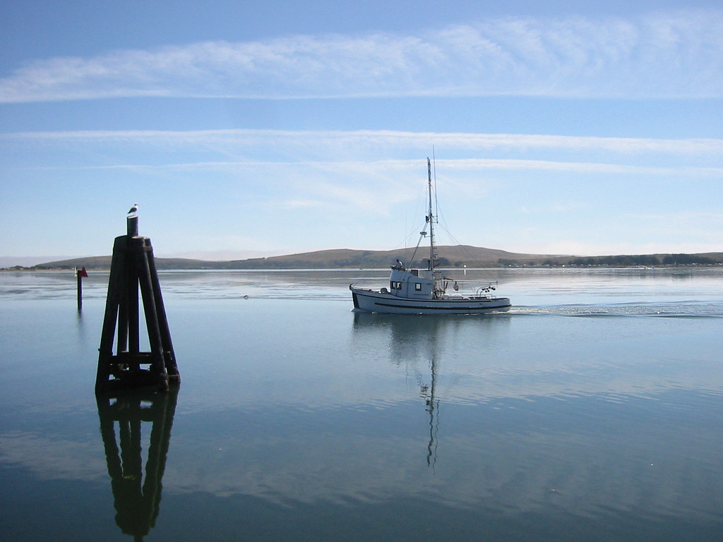 Bodega Bay 2 Bodega Bay Harbor, California suedeane Flickr