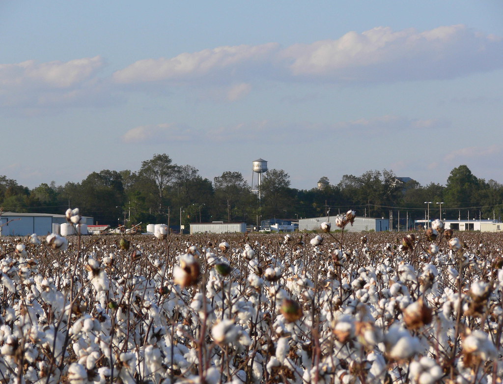 Leland Mississippi Jimmy Smith Flickr