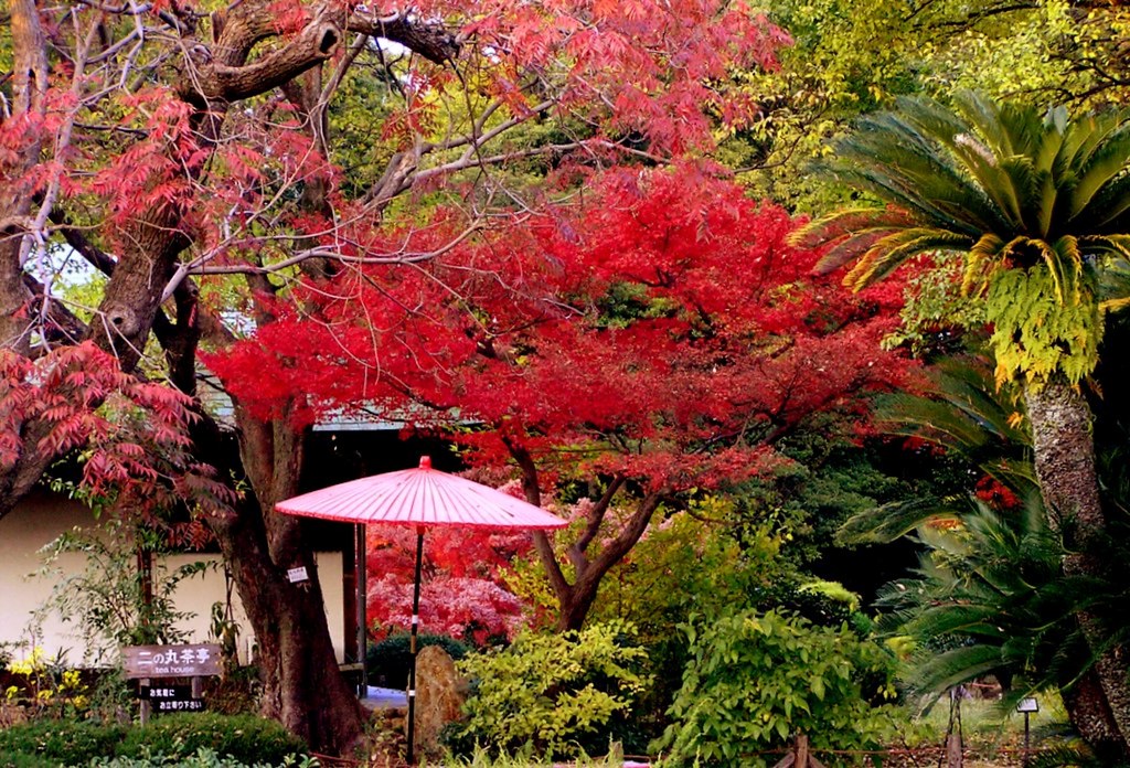 Japan Nagoya Nagoya Castle gardens and tea ceremony pavi… Chris