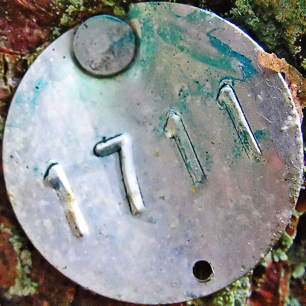 1711 Colney Woodland Burial Park Norwich, Norfolk, England… Flickr