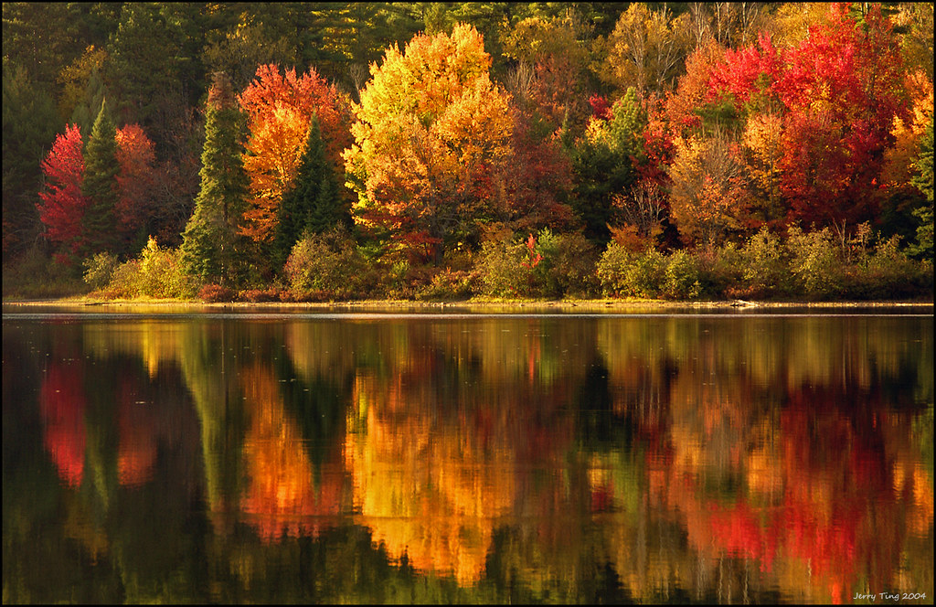 Stratton Lake View On Black Taken while canoeing. Algonqui… Flickr