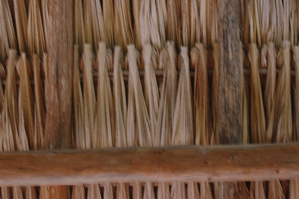 Bananna Leaf Roof the roof for most of the huts especially… Flickr