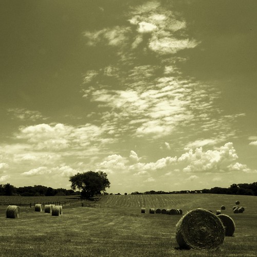 Ardrossan Farm Radnor, Pa. Christopher Paquette Flickr
