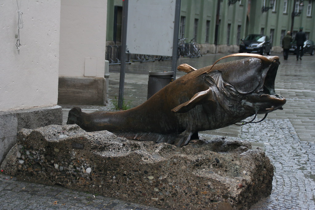 Catfish 20103697 outside the German Hunting & Fishing Mus… Flickr