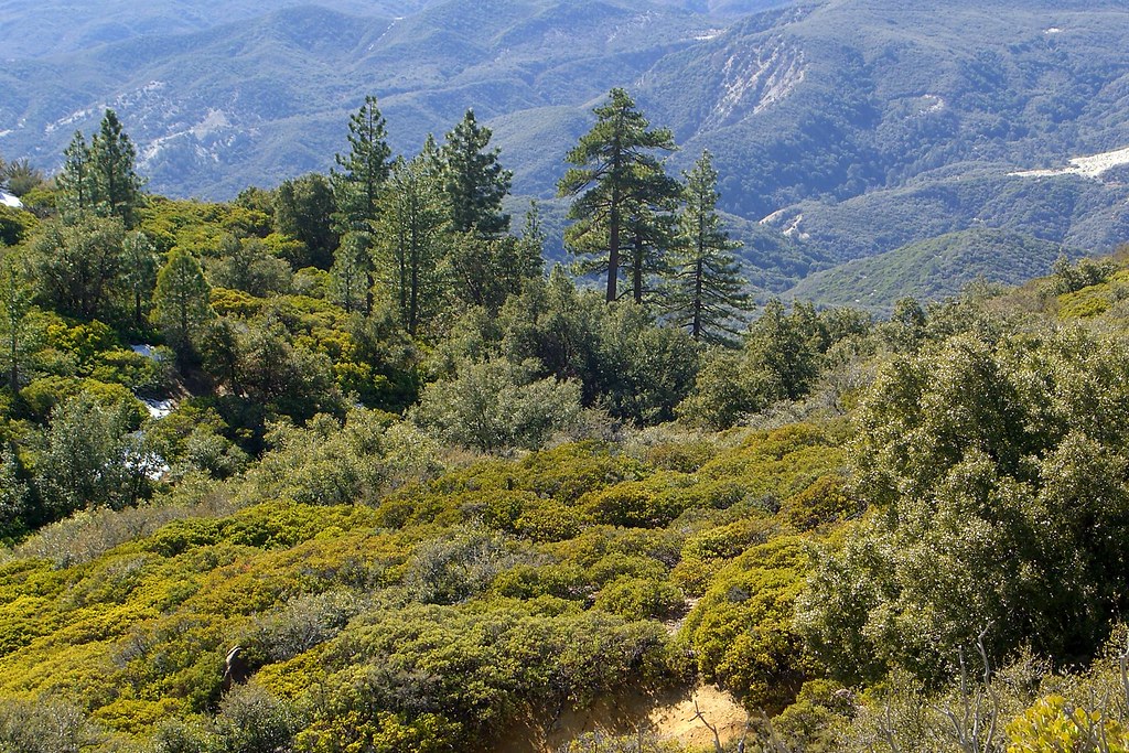 Pine Mountain View from road up to Pine Mountain, Santa Ba… Flickr