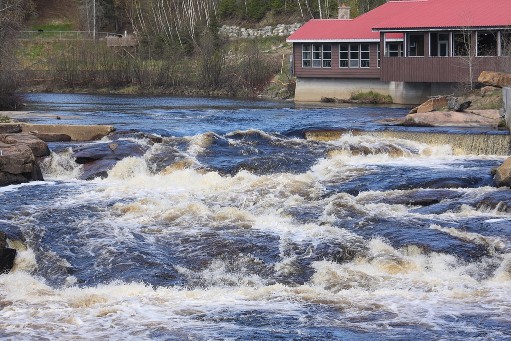 Rivière aux saumons Zoo Sauvage de StFélicien (Canada) … Flickr